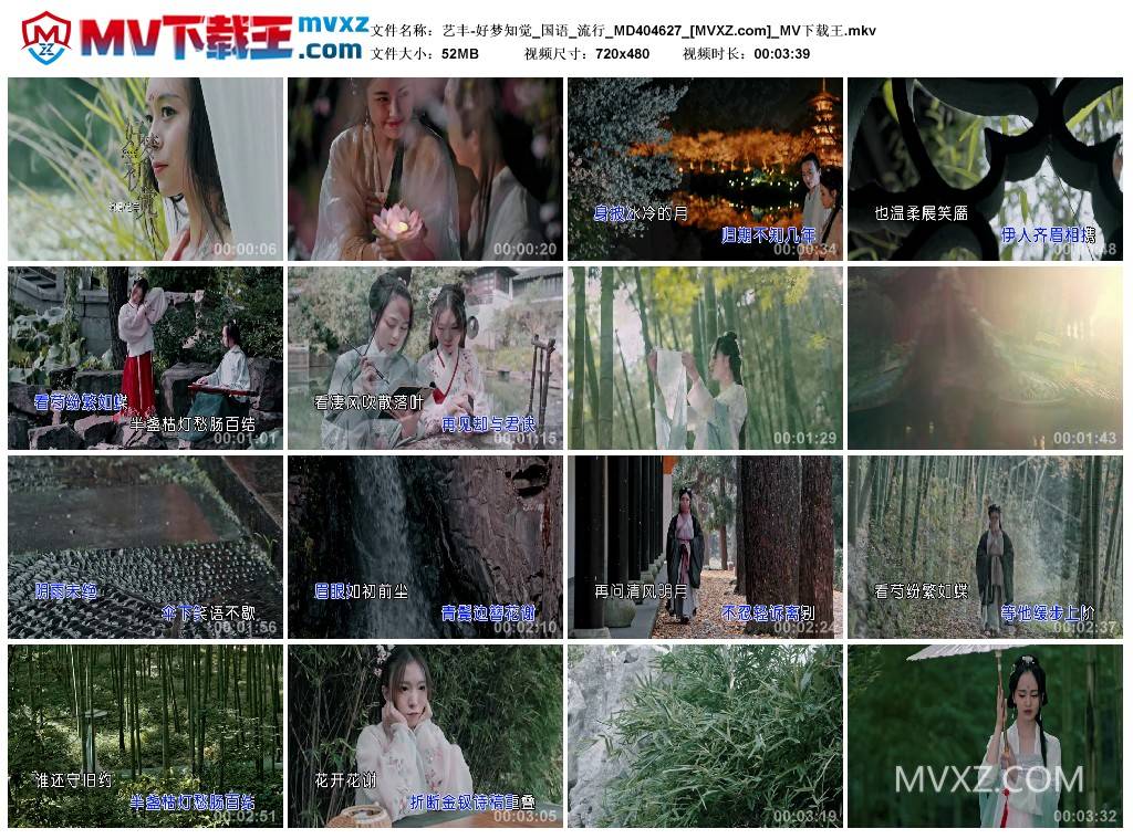 艺丰-好梦知觉_国语_流行_MD404627
